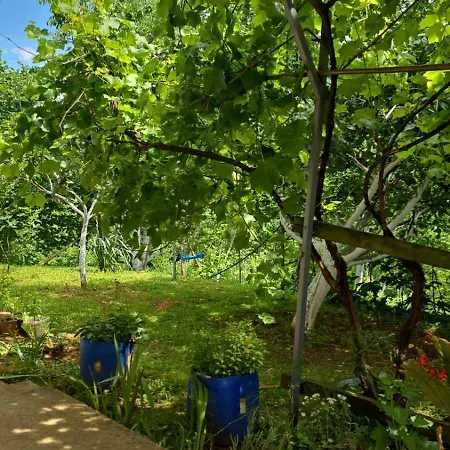 Lägenhet Daco Vlasenica